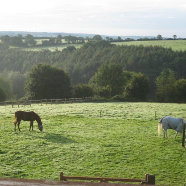 Bring your horse on holiday - Accommodation with stabling